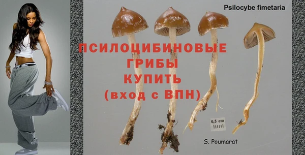 дмт Алексеевка