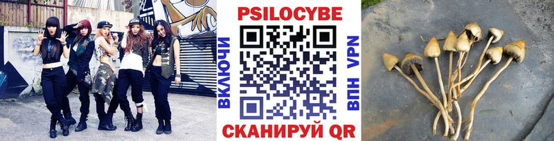 Псилоцибиновые грибы MAGIC MUSHROOMS  Сосновка 